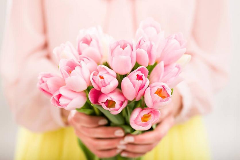 tulips-pale-pink-flowers