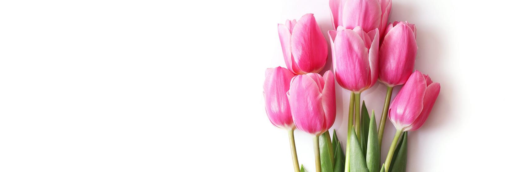 Ultimate Flower Guide: Tulips, Tips & Facts | Interflora