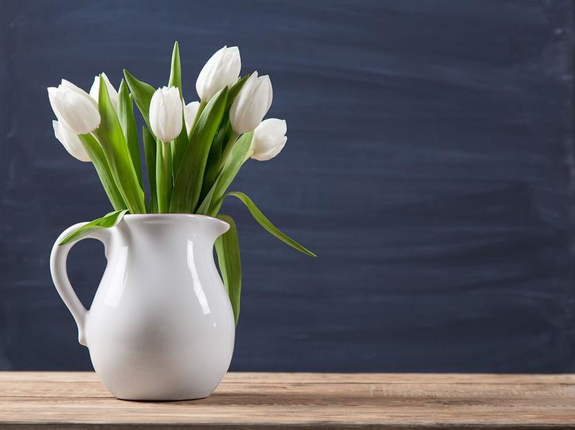 tulips-white-flowers
