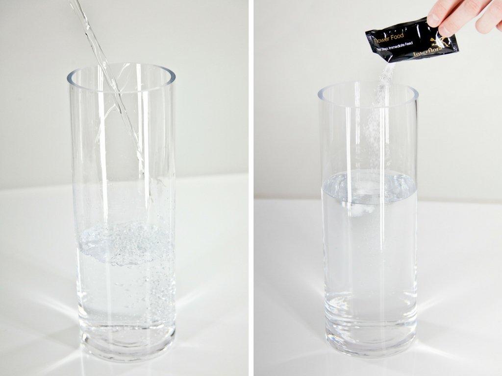 water-and-flower-food-in-vase