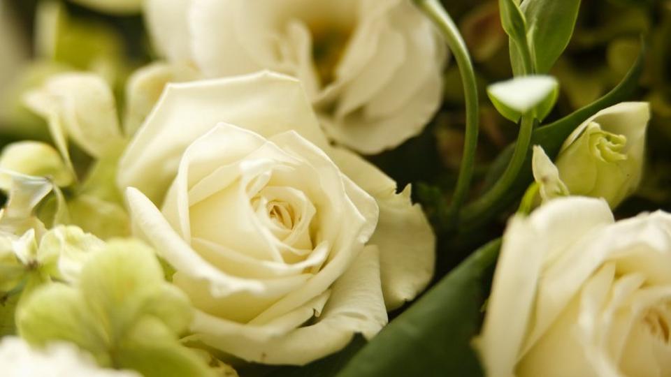 white-rose-focal
