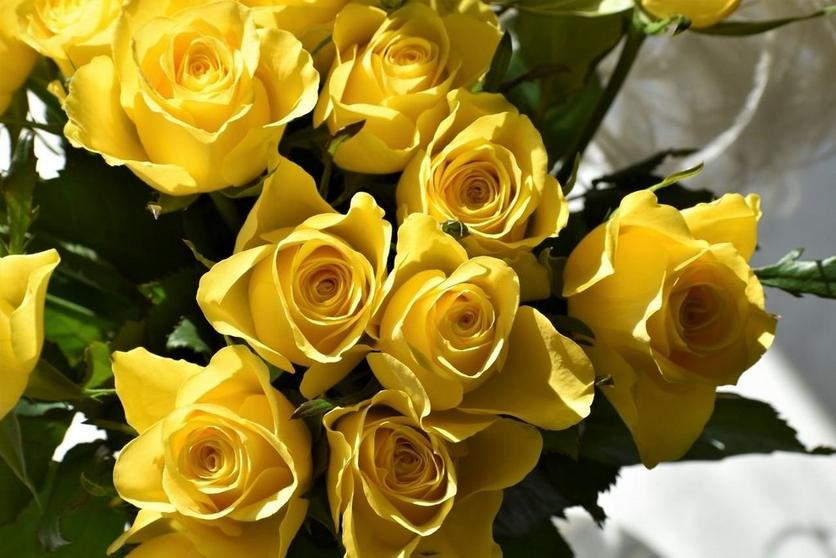 yellow-rose-flowers-bouquet