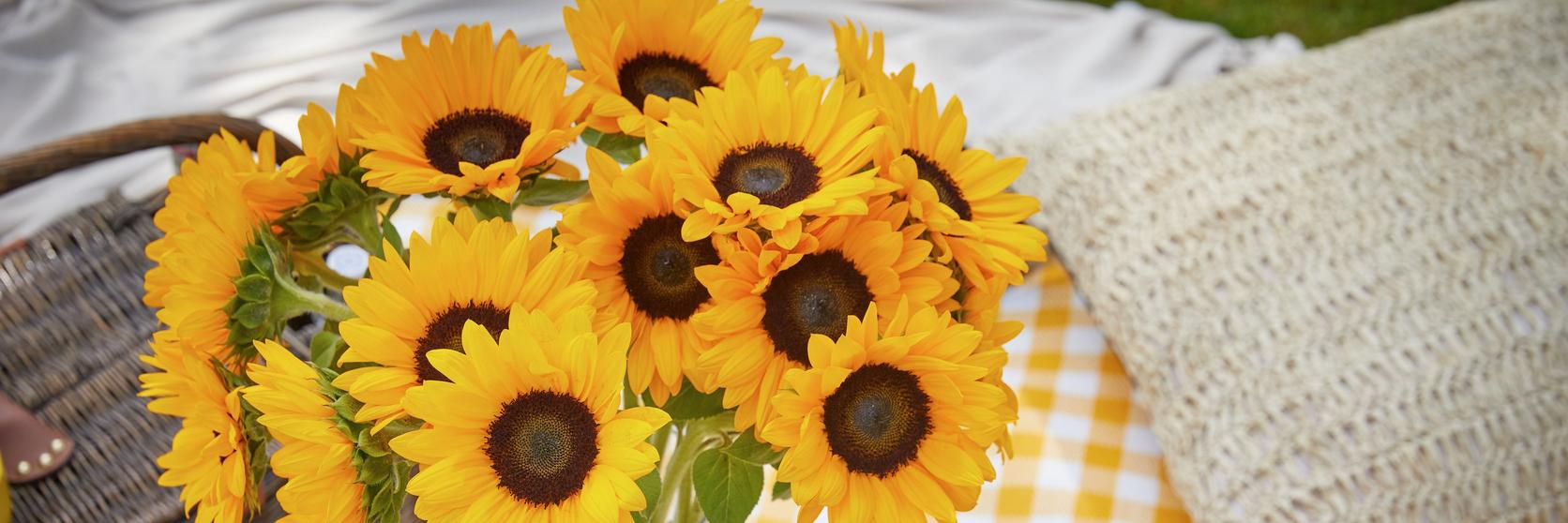 yellow-sunflowers-in-a-vase
